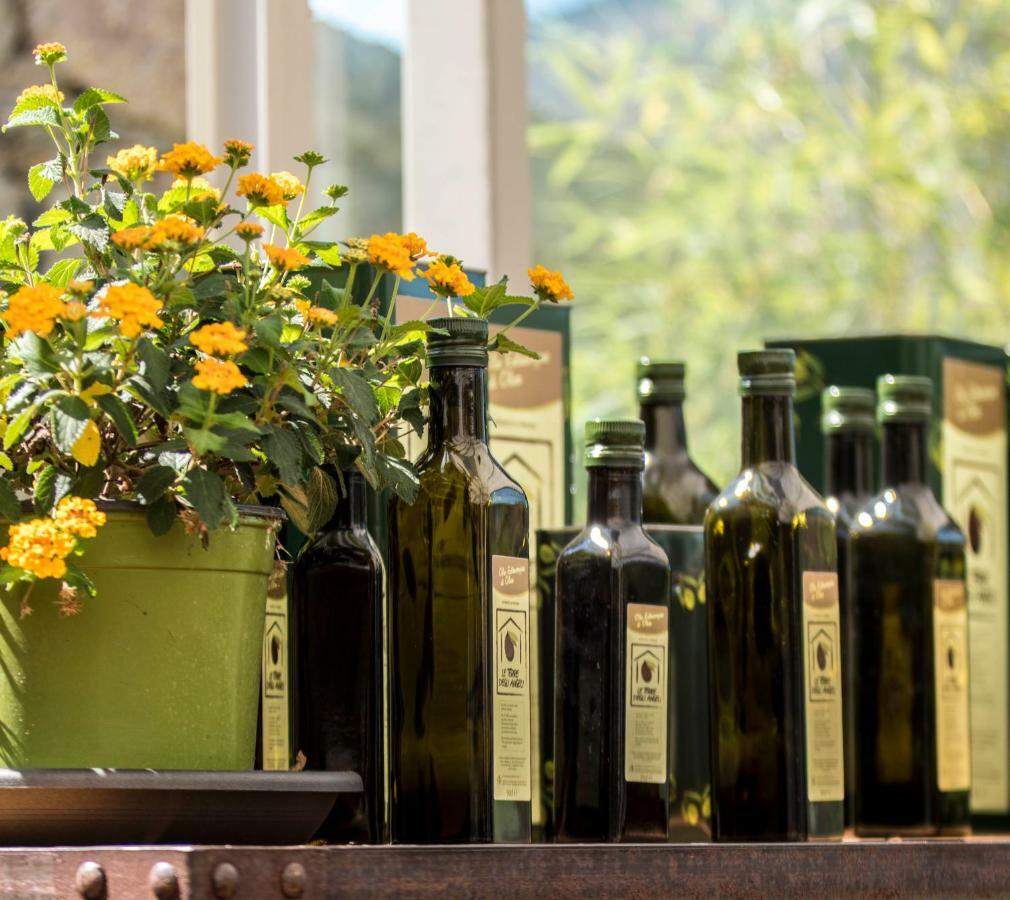 Agriturismo Terre Degli Angeli Pietra Ligure Ngoại thất bức ảnh